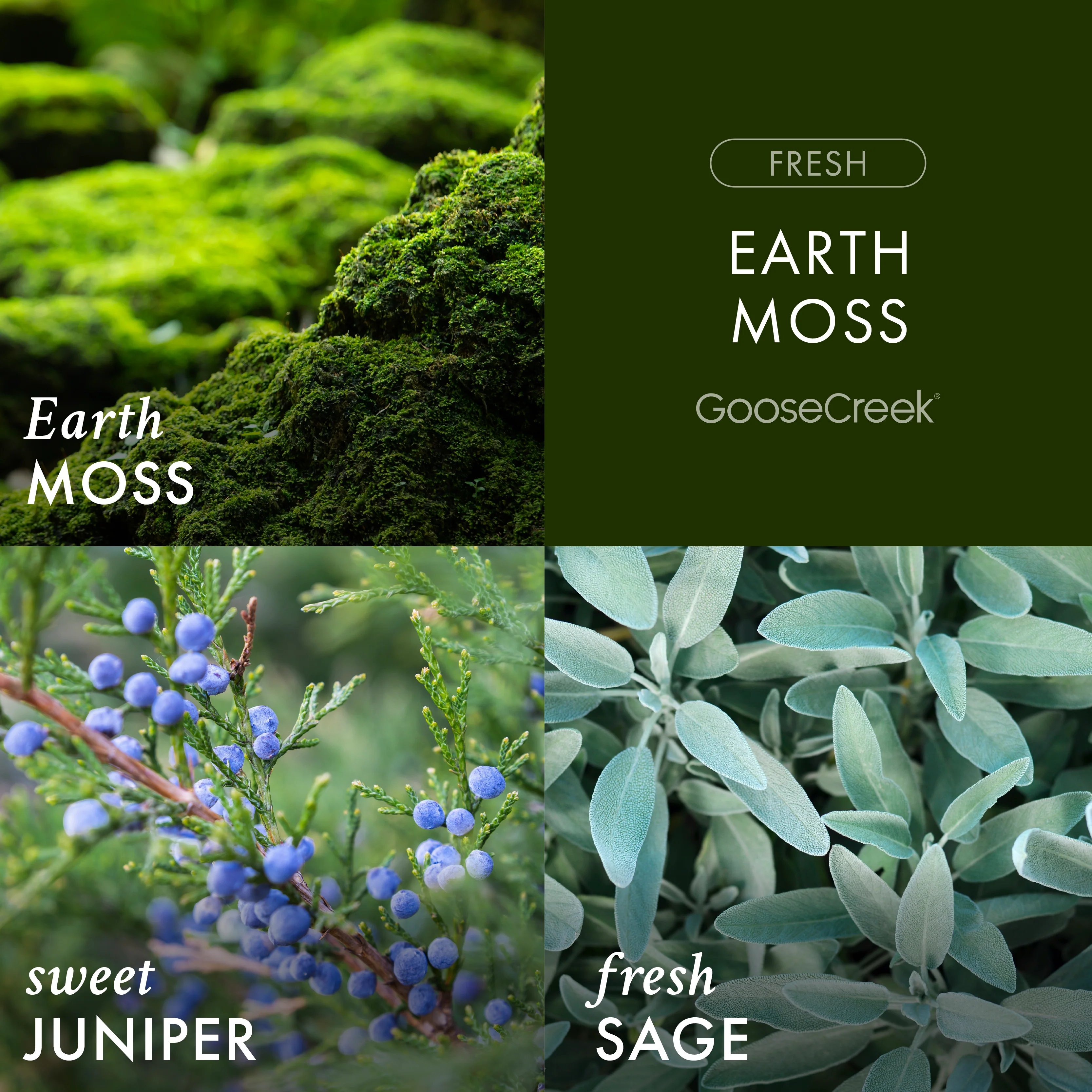 Earth Moss 3-Wick Candle - Image 2