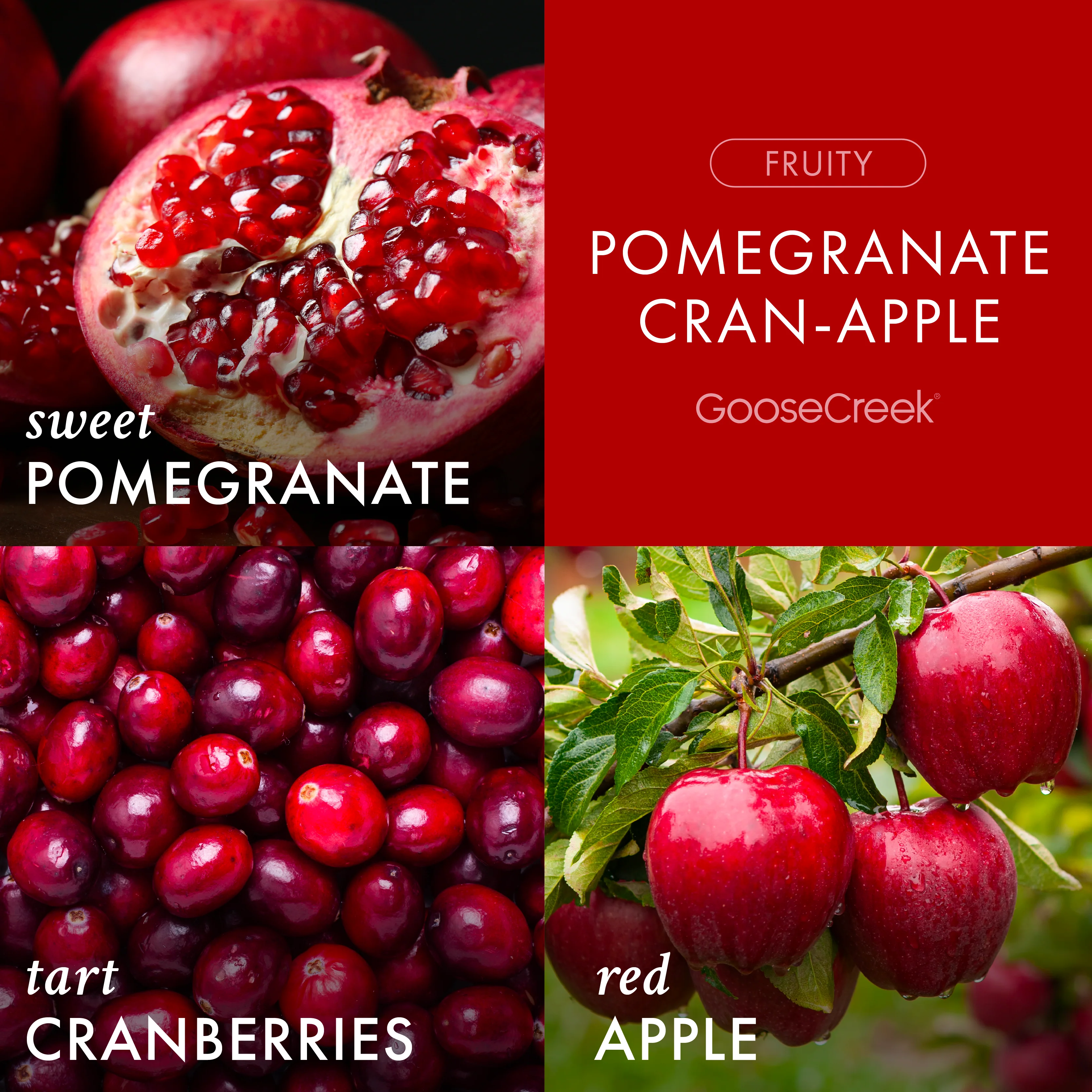 Pomegranate Cran-Apple 3-Wick Candle - Image 2