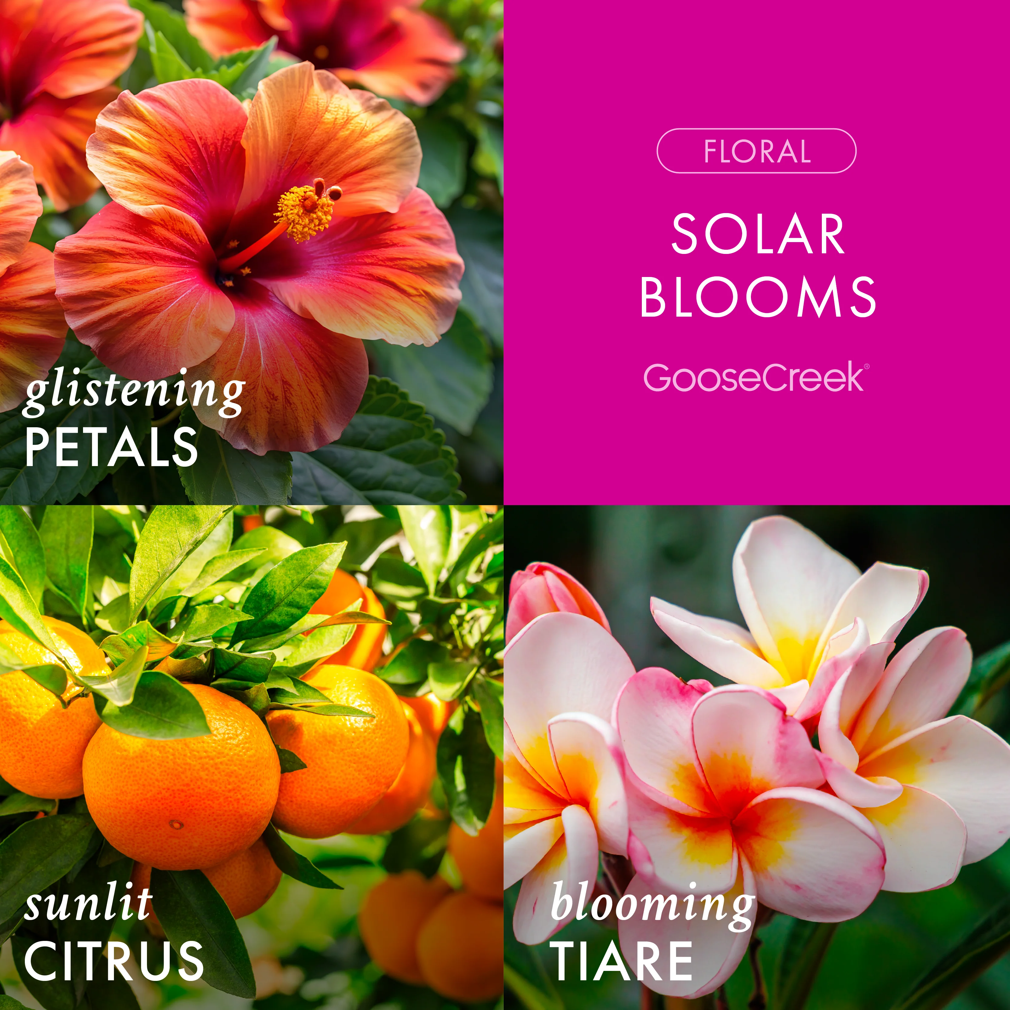 Solar Blooms 3-Wick Candle - Image 2