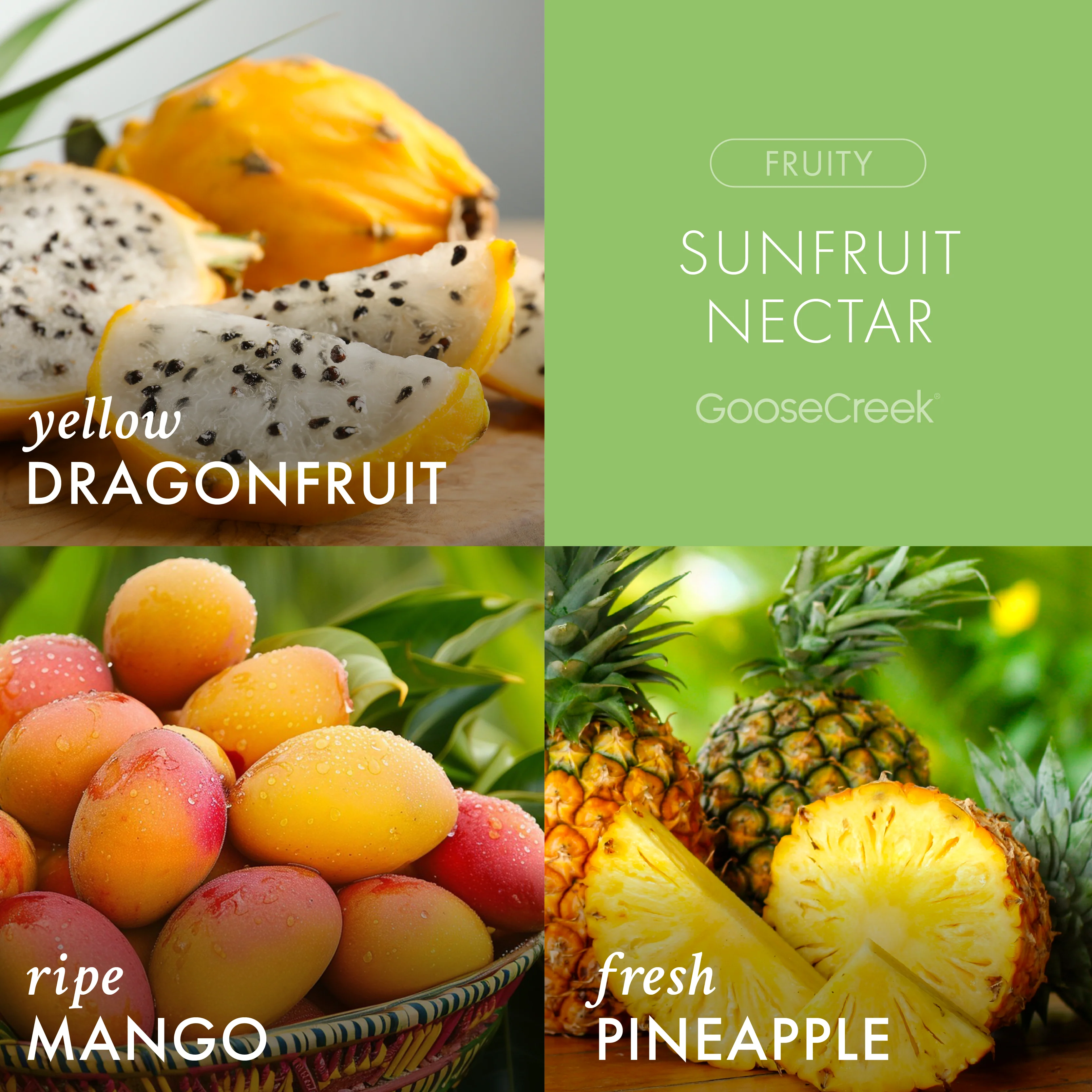 Sunfruit Nectar 3-Wick Candle - Image 2